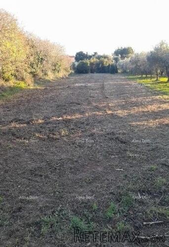 Premantura – građevinsko zemljište 1.793 m² - 3