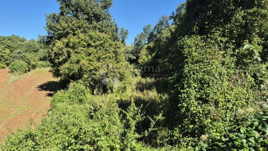 Prodaje se poljoprivredno zemljište površine 1636 m2 u Cukri - 3