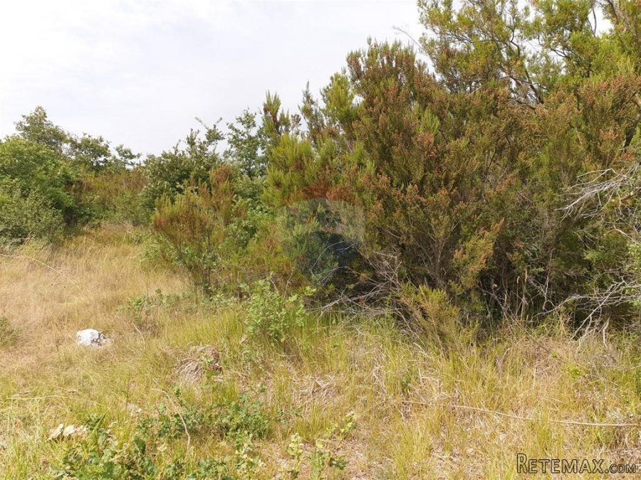 Marčana - parcela - 4