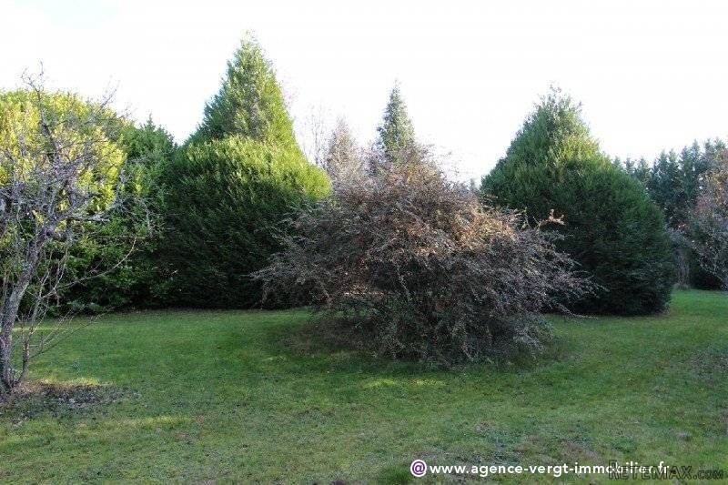 Ref 28287 : Dans Un Environnement.. - 2