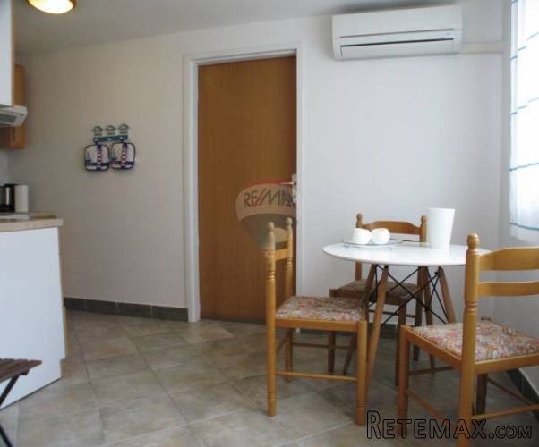 ISTRA, ŠTINJAN JEDNOSOBAN APARTMAN U PRIZEMLJU ZGRADE - 4