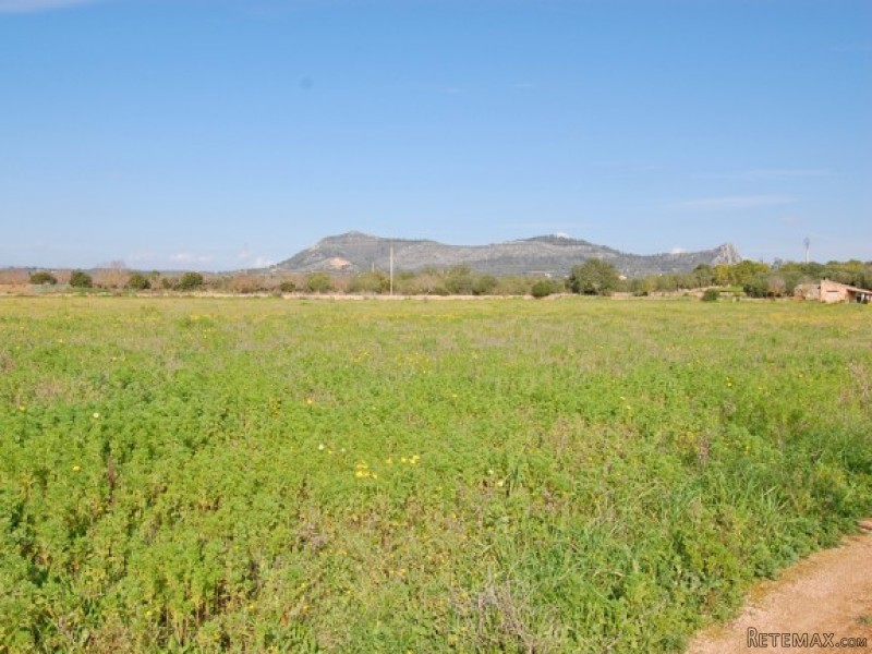 Rustic Plot Near Llucmajor