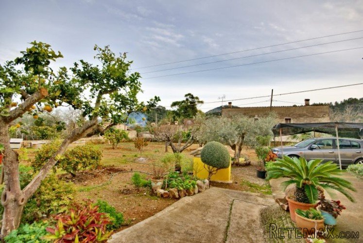 Quiet semi detached country house in the country of.. - 5