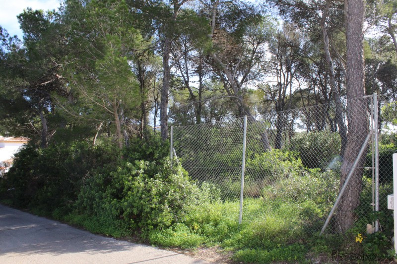 Plot in Javea - 2