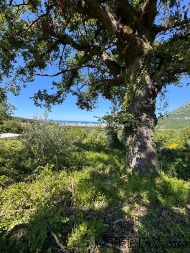 Plac, Bjelisi, Bar, 460.000Eur
