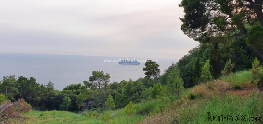Plac, Zeleni Pojas, Bar, 110.000Eur