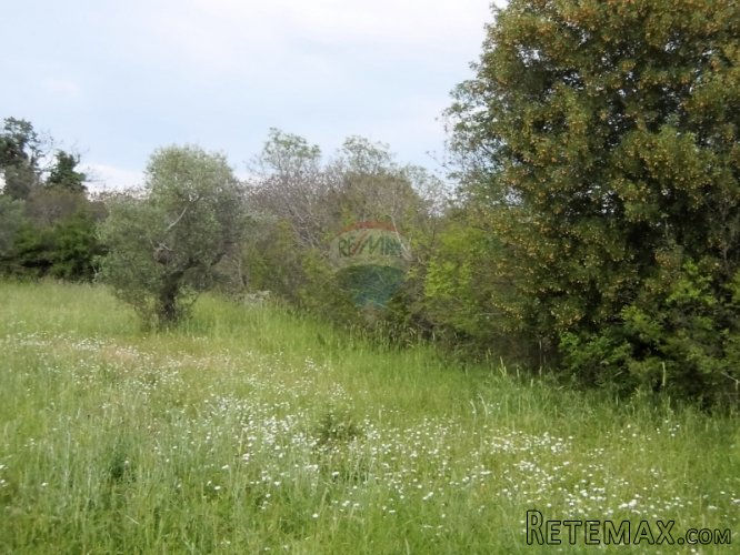 Juršići, poljoprivredno zemljište od 771 m2 - 4