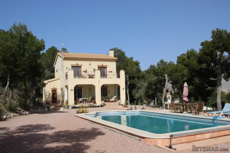 Beautiful villa built in the Pine..