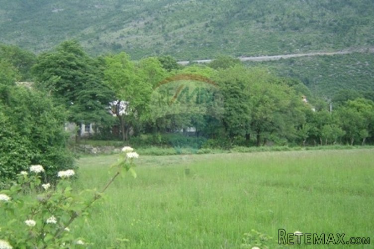 ISTRA, RABAC, VELIKO SEOSKO IMANJE S 88000 M2 ZEMLJIŠTA! - 3