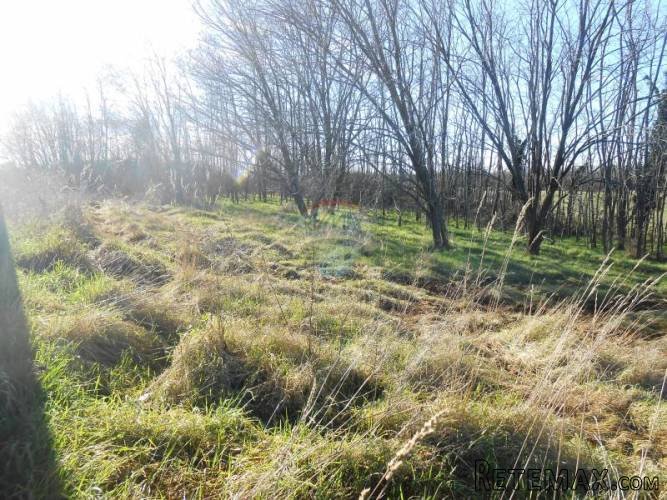 Istra, okolica Vižinade, građevinsko zemljište, 45 Eura...