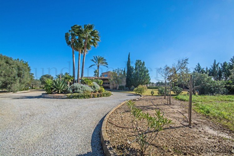 Excellent villa in a beautiful location in Moscari with the.. - 2