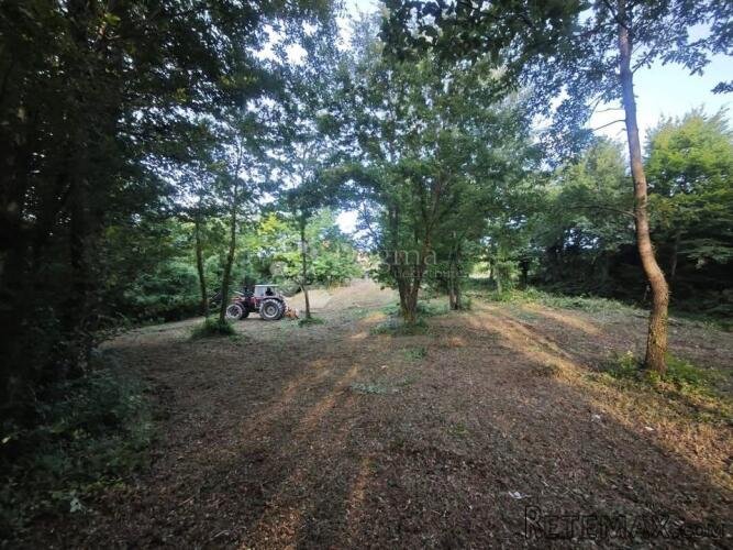 Građevinsko zemljiste Pazin 1209m2 - 2