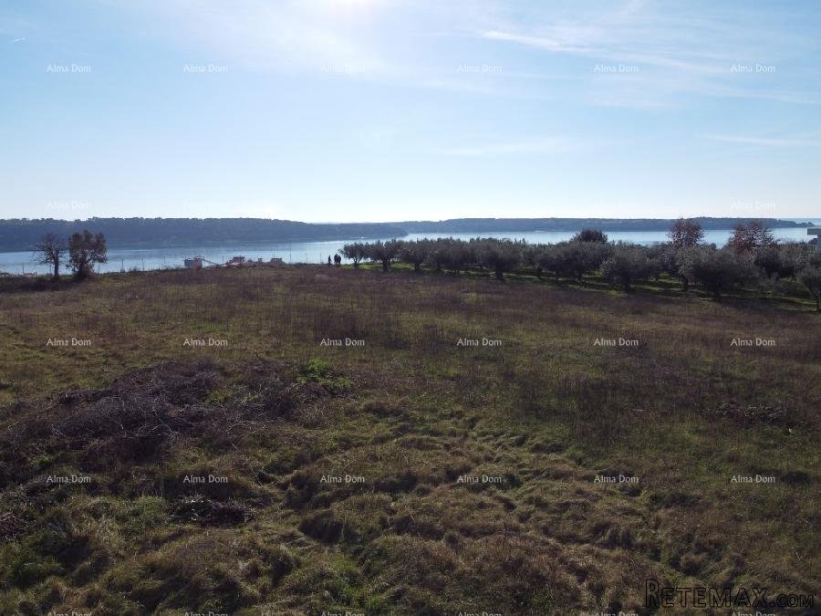 Apartman s krovnom terasom - Residencija Novi Home Novigrad - 7