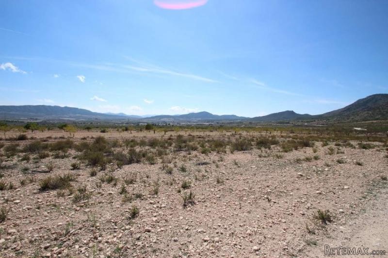 Land in Torre Del Rico (Ref. PV3048)