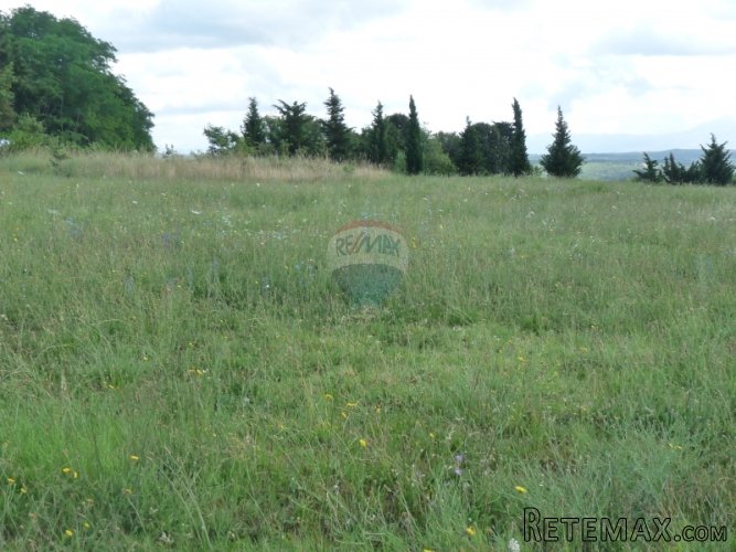 PUNTERA, atraktivno zemljište od 19449 m2 sa pogledom na... - 2