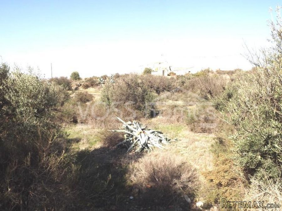 A spacious, single story, detached, 3 bed, 1 bath, village.. - 11
