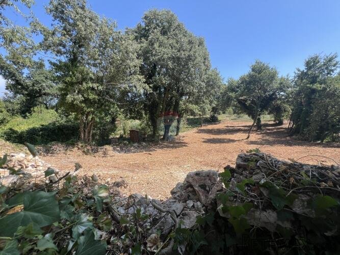 Istra,Pinezići - građevinsko zemljište