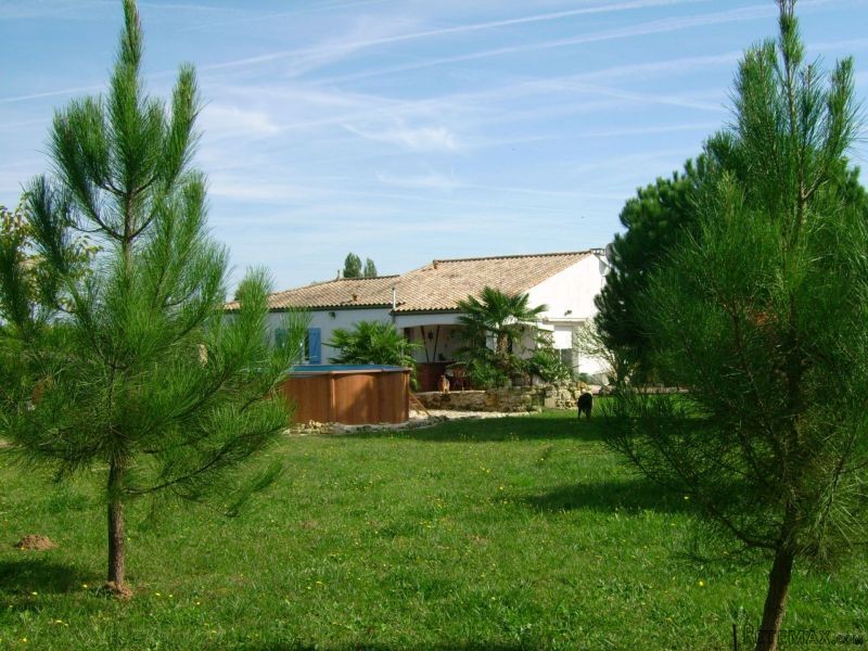 Single Storey Mediterranean-style House
