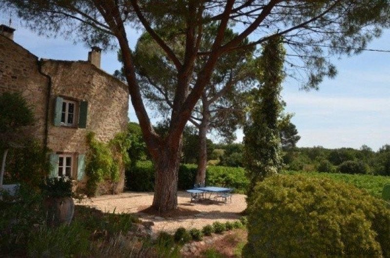Small Wine Domaine With 3 Independent..