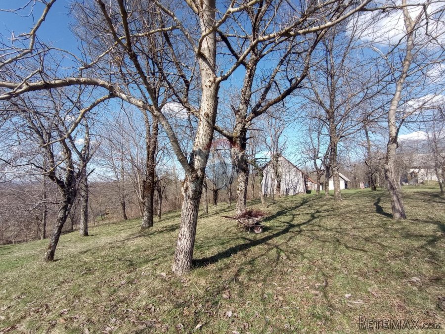 Tounj, kuća sa okućnicom 18000 m2 - 9