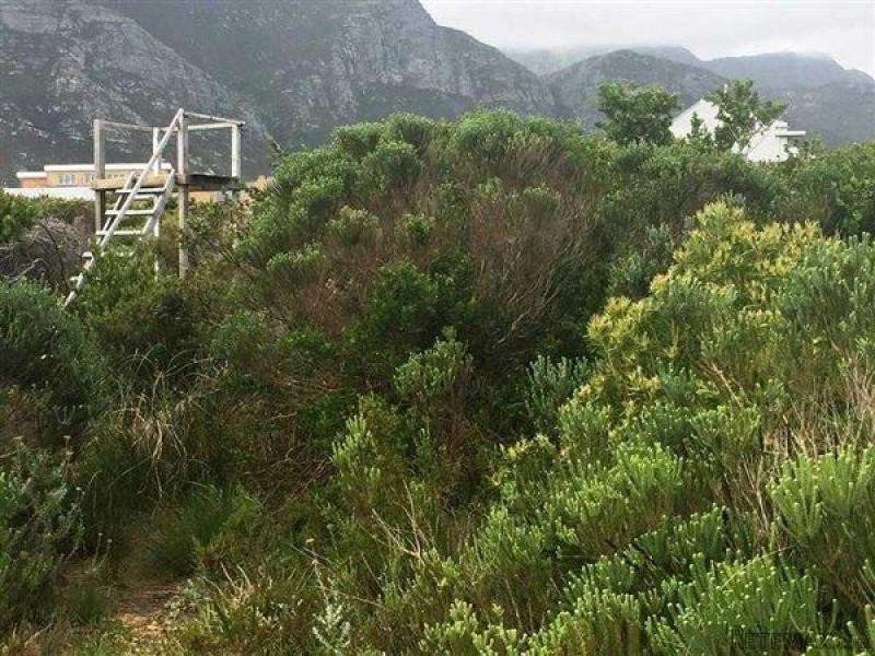 Bettys Bay Vacant Land, Bettys Bay