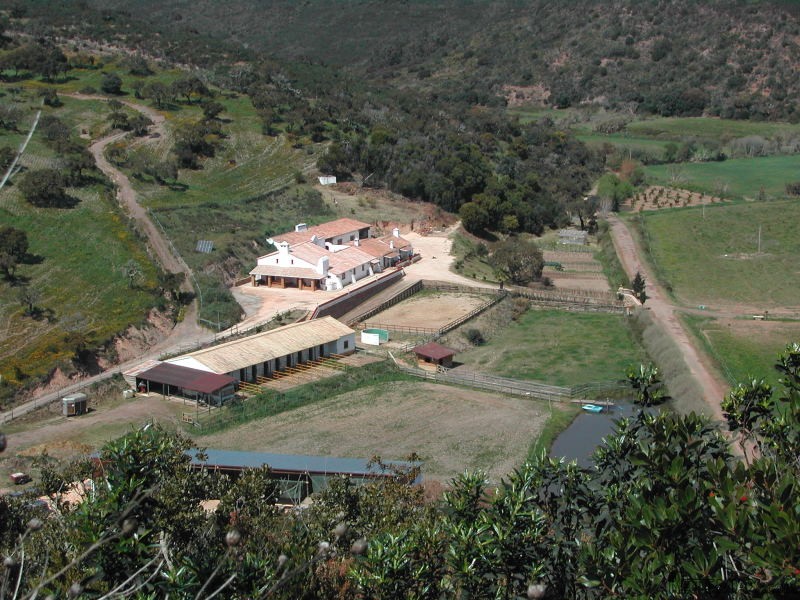 Farm In Costa Vicentina Natural.. - 2