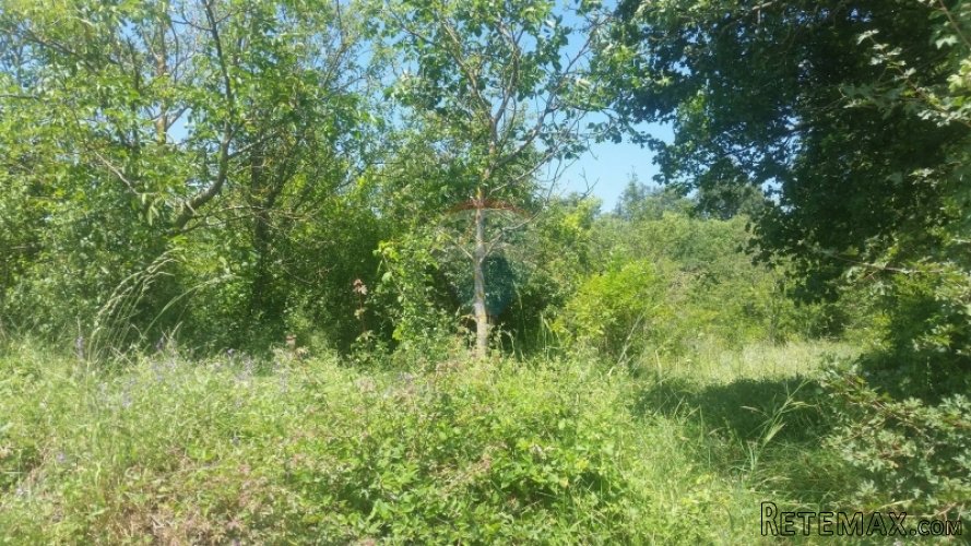 PREDIVNA PARCELA U BLIZINI LABINA! - 2