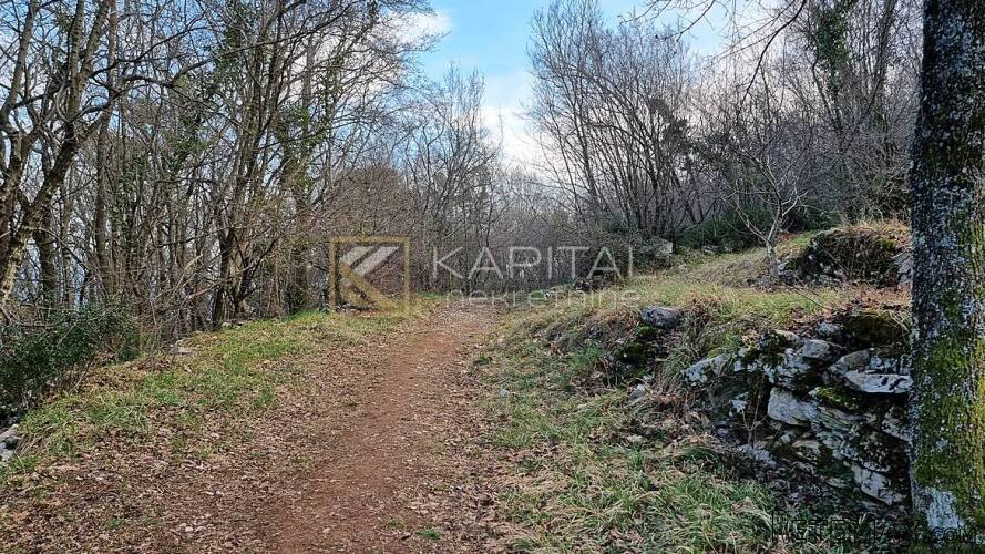 Građevinsko zemljište 3046 m2 - 3
