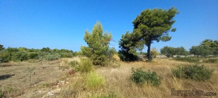 Istra, Peroj, negrađevinska parcela u blizini mora - 3