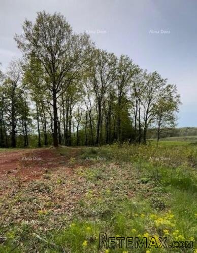 PRODAJE SE GRAĐEVINSKO ZEMLJIŠTE S PROJEKTOM – Barban (1... - 3