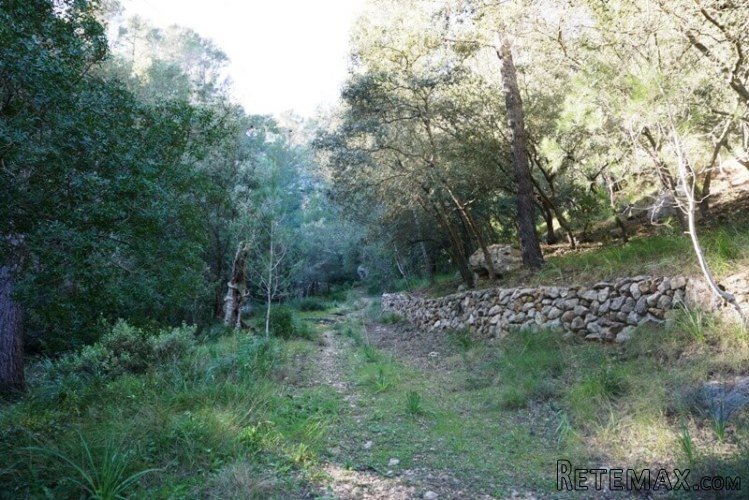 Secluded 2 bedroom cottage nestled in the tramuntana.. - 3
