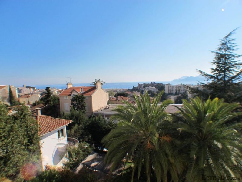 Sale Apartment - Cannes - 2