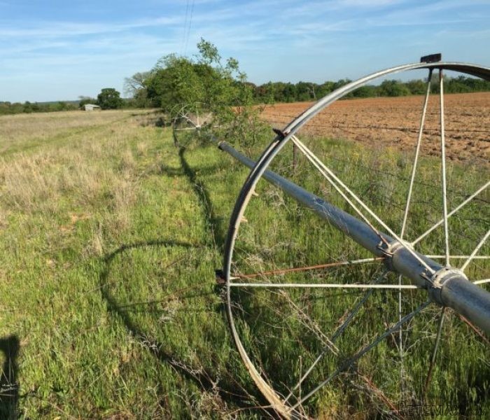 80 Acres of Prime Texas Farm & Ranch.. - 2