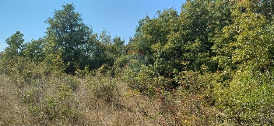 Pula,okolica, građevinsko zemljište - 3