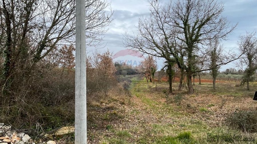 Tar, Vabriga - zemljište ugostiteljsko -turističke namjene - 5