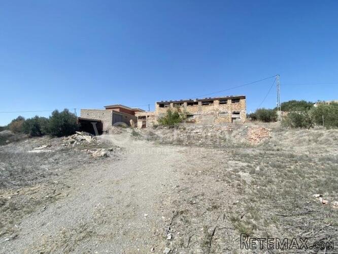 Large plot of rustic land with various olive trees of.. - 2