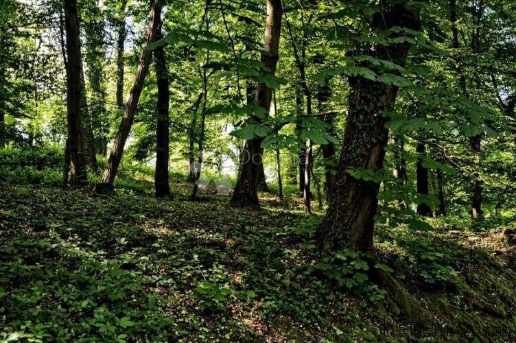 Poljoprivredno zemljište šuma i zelena zona - 2