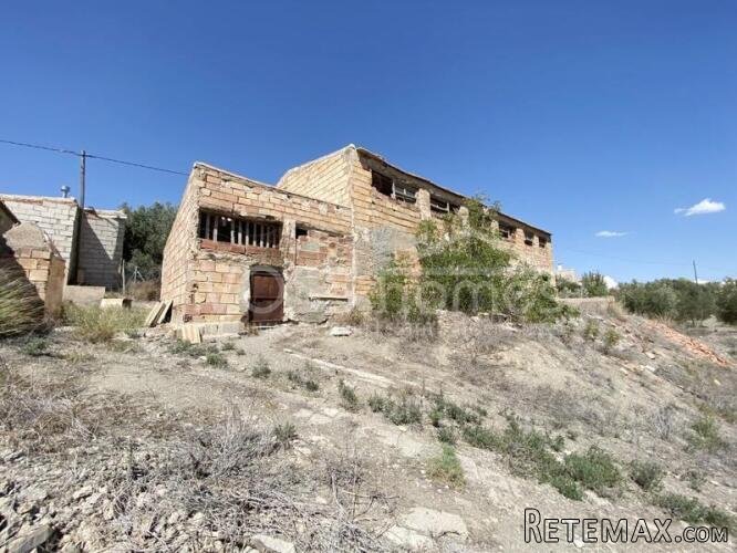 Large plot of rustic land with various olive trees of.. - 6