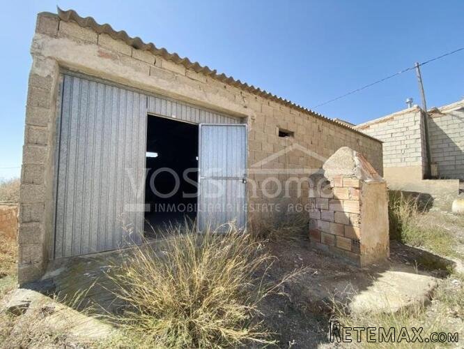Large plot of rustic land with various olive trees of.. - 10