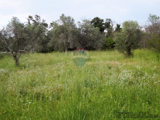 Juršići, poljoprivredno zemljište od 771 m2 - 3