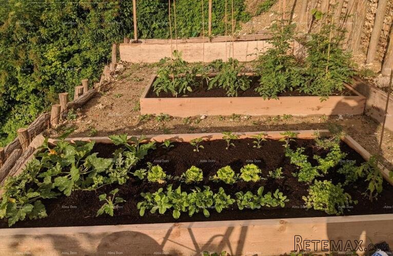 Prekrasna renovirana kuća s pogledom i poslovnim prostorom - 5