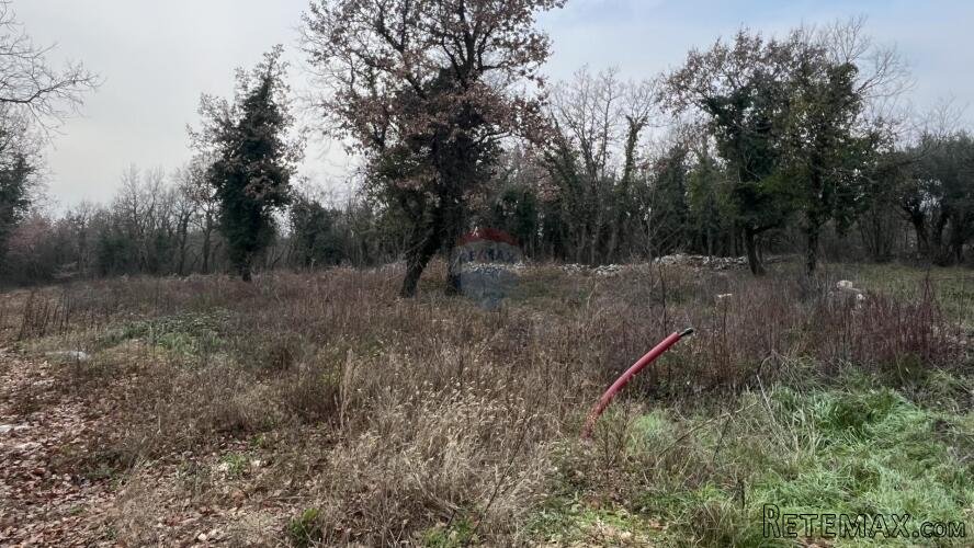 Sveti Lovreč - okolica, građevinsko zemljište u mirnom mjest - 3