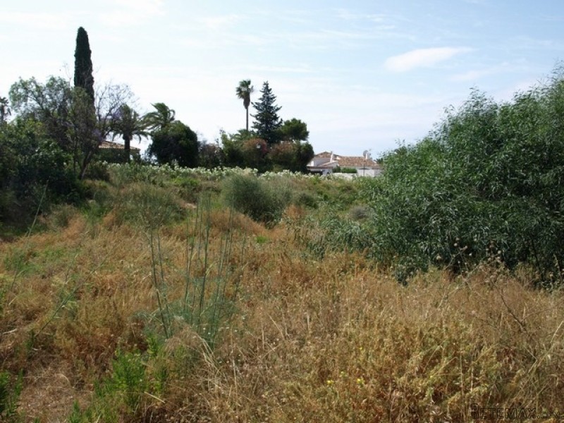 HM2650 - Plot For sale in El Rosario.. - 2