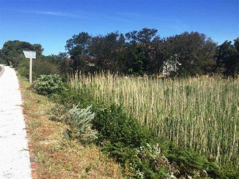 Bettys Bay Vacant Land, Bettys Bay - 2