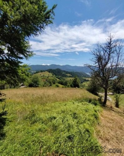 Plac Zaovine (Tara) - 3
