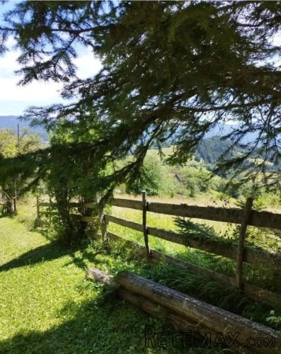 Plac Zaovine (Tara) - 4