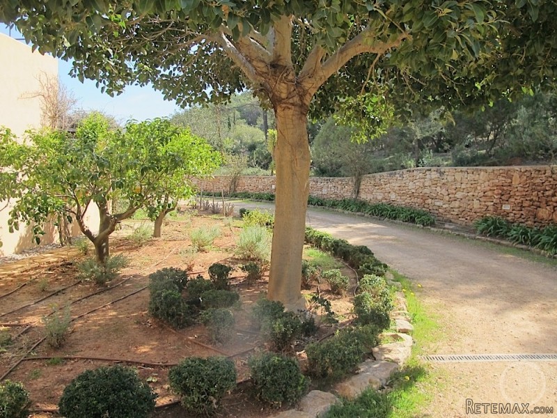 Property - Ibiza - For Sale - 2