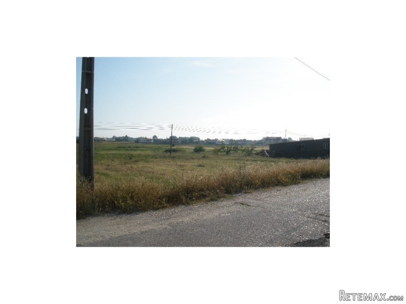 Rural Land in Monte Real e Carvide