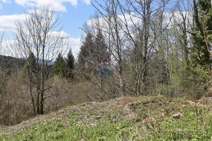 Moravce, Vrbovsko -kuća na osami - 5
