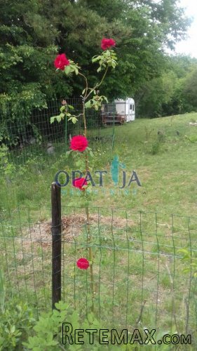 Građevinsko zemljište, pogled, potpuna privatnost - 3